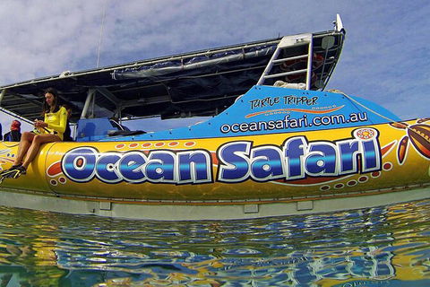 Ocean Safari Great Barrier Reef Experience In Cape Tribulation - Kempsey Accommodation 8