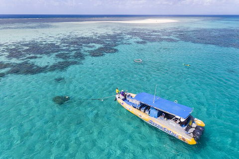 Ocean Safari Great Barrier Reef Experience In Cape Tribulation - Kempsey Accommodation 11