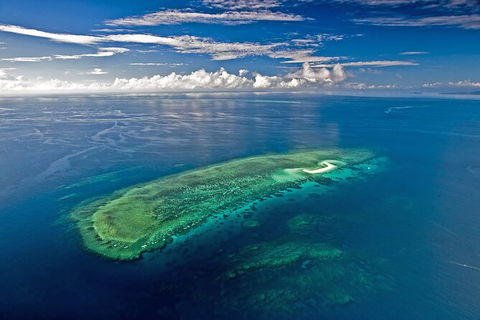 Ocean Safari Great Barrier Reef Experience In Cape Tribulation - Kempsey Accommodation 15