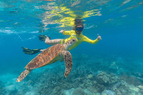 Ocean Safari Great Barrier Reef Experience In Cape Tribulation - Kempsey Accommodation 14
