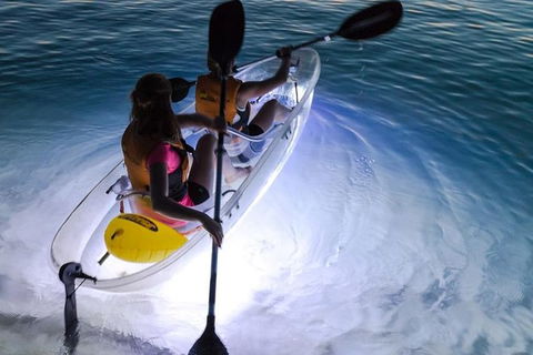 2-Day Moreton Island Tour From Brisbane Or Gold Coast With Optional Nighttime Kayaking - Kempsey Accommodation 1