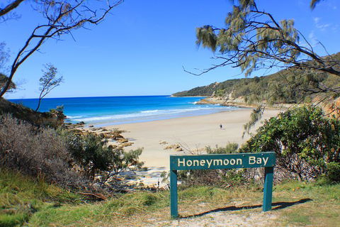 2-Day Moreton Island Tour From Brisbane Or Gold Coast With Optional Nighttime Kayaking - Kempsey Accommodation 12