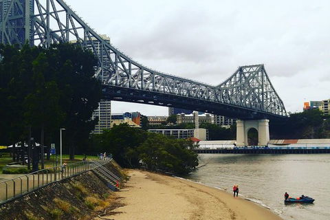 Brisbane River Guided Evening Tour By Kayak - Our Most Popular Tour - Kempsey Accommodation 6