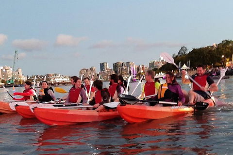Brisbane River Guided Evening Tour By Kayak - Our Most Popular Tour - Kempsey Accommodation 4