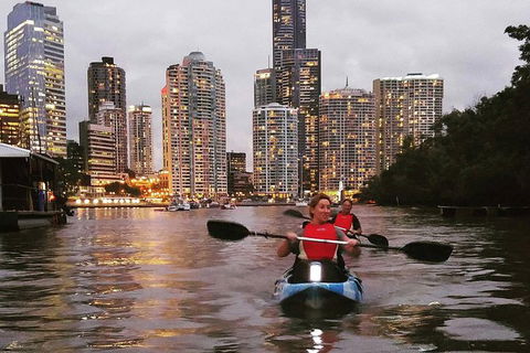 Brisbane River Guided Evening Tour By Kayak - Our Most Popular Tour - Kempsey Accommodation 2