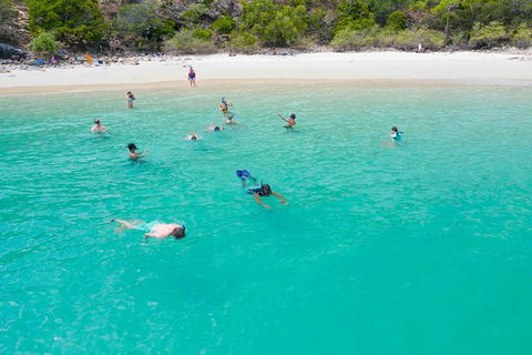 Stray Australia: Brisbane To Cairns Freestyle Tour - Kempsey Accommodation 1