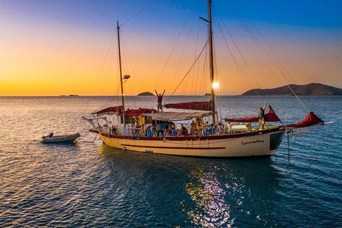 Stray Australia: Brisbane To Cairns Freestyle Tour - Kempsey Accommodation 0