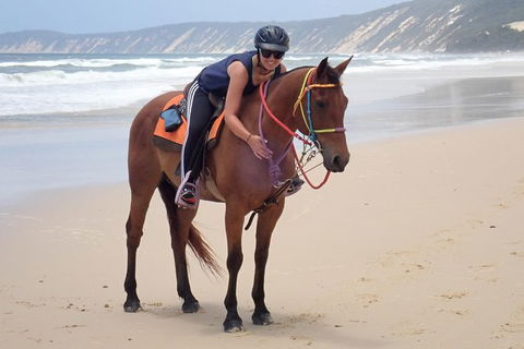 Rainbow Beach Horse Ride - Kempsey Accommodation 2