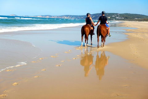 Rainbow Beach Horse Ride - Kempsey Accommodation 3