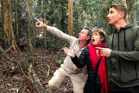 Small-Group 4WD Lamington National Park Day Trip From Brisbane - Kempsey Accommodation 8