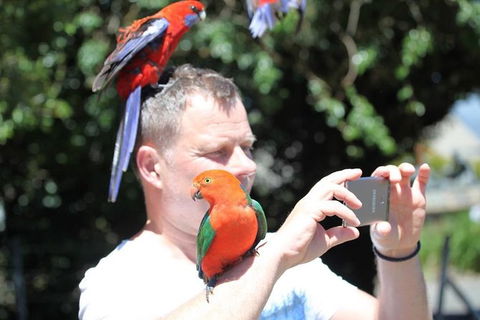 Small-Group 4WD Lamington National Park Day Trip From Brisbane - Kempsey Accommodation 2