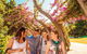 Full-Day Small-Group History And Heritage Tour Of Brisbane City - thumb 4