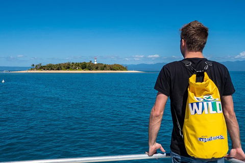 Half Day Low Isles Snorkelling Tour From Port Douglas - Kempsey Accommodation 1