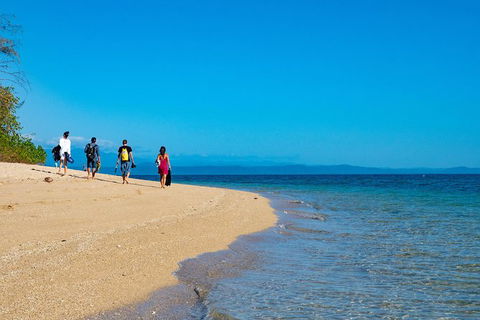 Half Day Low Isles Snorkelling Tour From Port Douglas - Kempsey Accommodation 3