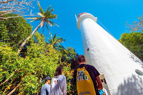 Half Day Low Isles Snorkelling Tour From Port Douglas - Kempsey Accommodation 7