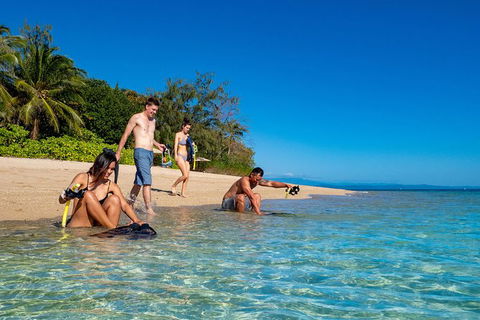 Half Day Low Isles Snorkelling Tour From Port Douglas - Kempsey Accommodation 2