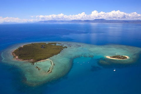Half Day Low Isles Snorkelling Tour From Port Douglas - Kempsey Accommodation 4