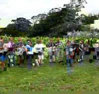 Full Day Mount Tamborine Winery Tour from Brisbane - Kempsey Accommodation