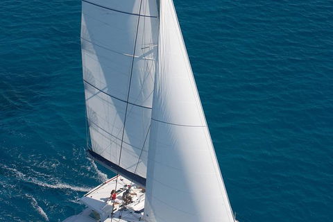 Afternoon Low Isles Snorkeling And Sailing Cruise From Port Douglas - Kempsey Accommodation 11