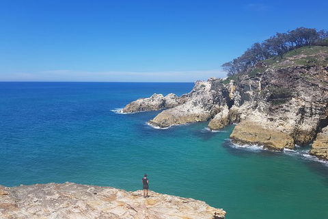 Full-Day Tour To North Stradbroke Island From Brisbane - Kempsey Accommodation 0