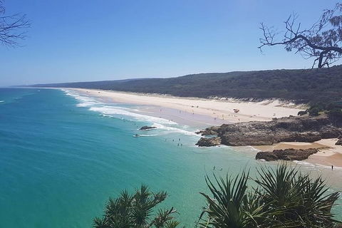 Full-Day Tour To North Stradbroke Island From Brisbane - Kempsey Accommodation 10