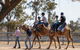 Camel Rides - thumb 0