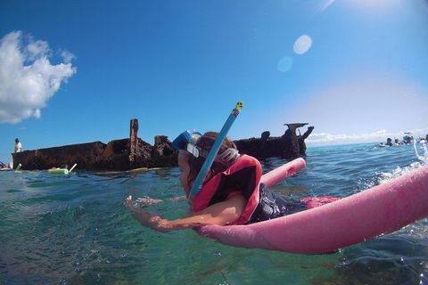 All Inclusive Dolphin And Tangalooma Wrecks Cruise Departing Gold Coast - Kempsey Accommodation 1