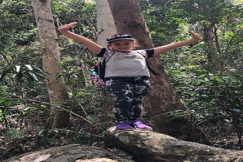 Explore Maleny, Montville, And Take A Swim Under The Waterfall. - Kempsey Accommodation 4