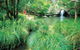 Explore Maleny, Montville, And Take A Swim Under The Waterfall. - thumb 3