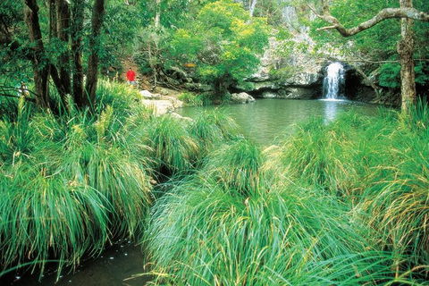 Explore Maleny, Montville, And Take A Swim Under The Waterfall. - Kempsey Accommodation 3