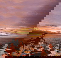 Darwin Harbour Sunset Cruise with Optional Buffet Dinner - Kempsey Accommodation