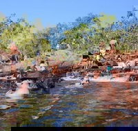 Litchfield and Jumping Crocodiles Full Day Trip from Darwin - Kempsey Accommodation