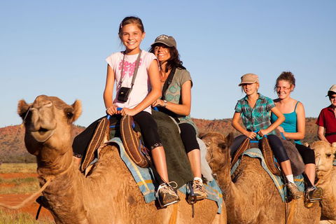 Alice Springs Camel Tour - Kempsey Accommodation 0