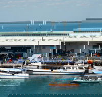 Darwin Harbour Bombing of Darwin Cruise - Kempsey Accommodation