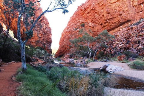 Half Day MacDonnell Ranges Small Group - Private Guided Tour - Kempsey Accommodation 0