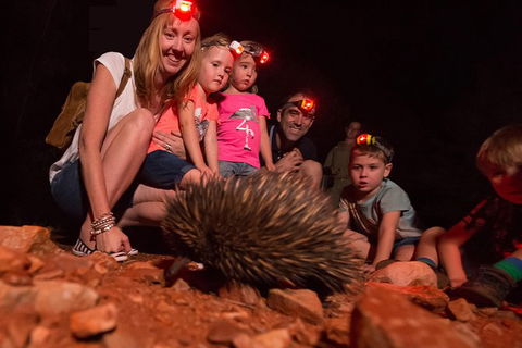 Alice Springs Desert Park Nocturnal Tour - Kempsey Accommodation 5