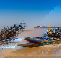 1 Hour Darwin Airboat Tours - Kempsey Accommodation