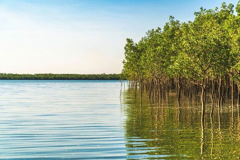 1 Hour Darwin Airboat Tours - Kempsey Accommodation 7