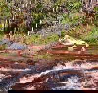 Litchfield National Park Day Tour from Darwin With Waterfalls And Buley Rockhole - Kempsey Accommodation