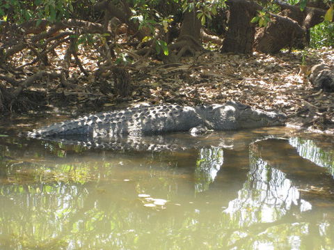 2-Day Kakadu And Arnhem Land Tour From Darwin - Kempsey Accommodation 2