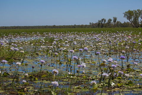 2:30pm Safari Cruise (1.5 Hours) - Kempsey Accommodation 0