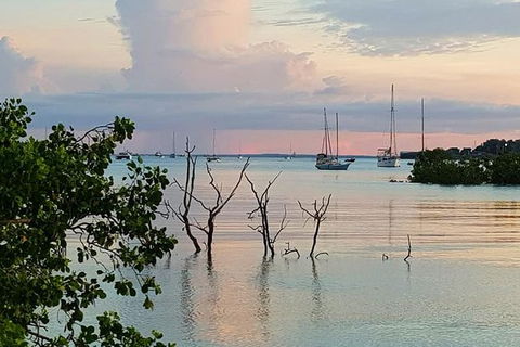 Tropical Light Tropical Bite - Twilight Cruise And CHOW Dinner - Kempsey Accommodation 7