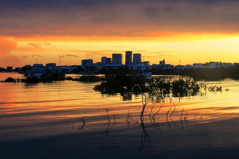 Tropical Light Tropical Bite - Twilight Cruise And CHOW Dinner - Kempsey Accommodation 2