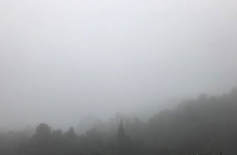 All Inclusive Blue Mountains Small-Group Day Trip From Sydney - Kempsey Accommodation 20