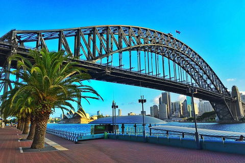 Half Day In Sydney With A Local: Private & Personalized - Kempsey Accommodation 10