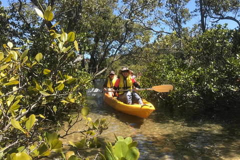 Paddle In Paradise - 4 Hours Double Kayak Hire - Kempsey Accommodation 1
