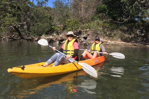 Paddle In Paradise - 4 Hours Double Kayak Hire - Kempsey Accommodation 6