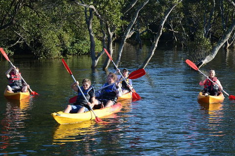 Kayak And SUP Guided Tours - Kempsey Accommodation 0