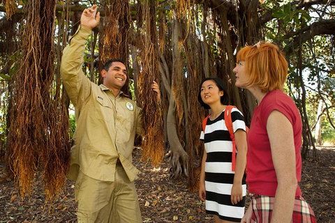 Aboriginal Heritage Tour At The Royal Botanic Garden Sydney - Kempsey Accommodation 6