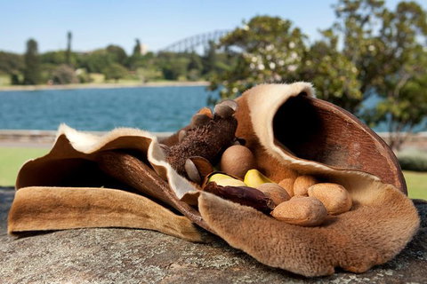Aboriginal Heritage Tour At The Royal Botanic Garden Sydney - Kempsey Accommodation 7